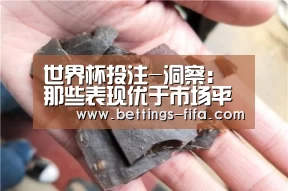世界杯投注-洞察：那些表现优于市场平均水平的自动化产品