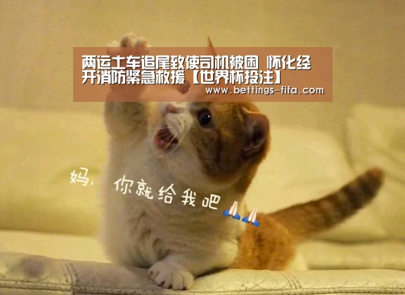 两运土车追尾致使司机被困 怀化经开消防紧急救援【世界杯投注】(图3) 世界杯投注