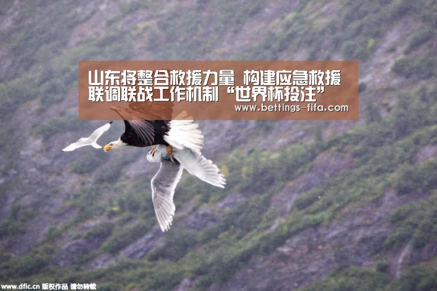 山东将整合救援力量 构建应急救援联调联战工作机制“世界杯投注”