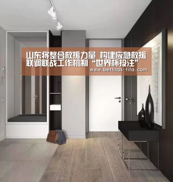 山东将整合救援力量 构建应急救援联调联战工作机制“世界杯投注”(图4) 世界杯投注