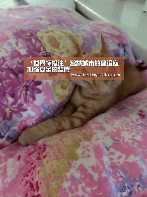 世界杯投注