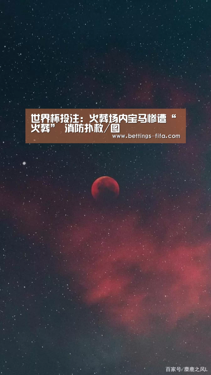 世界杯投注