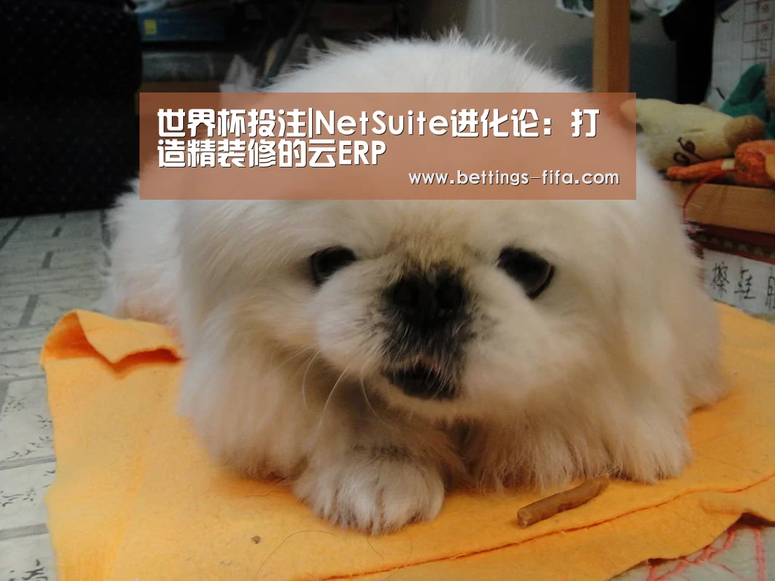 世界杯投注|NetSuite进化论:打造精装修的云ERP