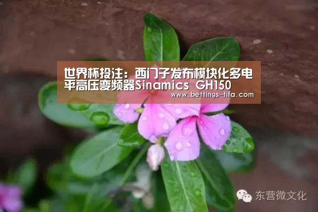 世界杯投注：西门子发布模块化多电平高压变频器Sinamics GH150