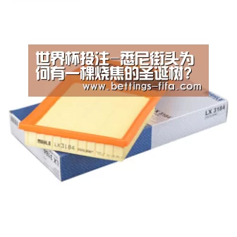 世界杯投注-悉尼街头为何有一棵烧焦的圣诞树?