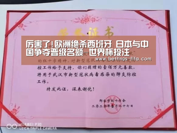 厉害了!欧洲绝杀西班牙 日本与中国争夺晋级名额-世界杯投注(图2) 世界杯投注